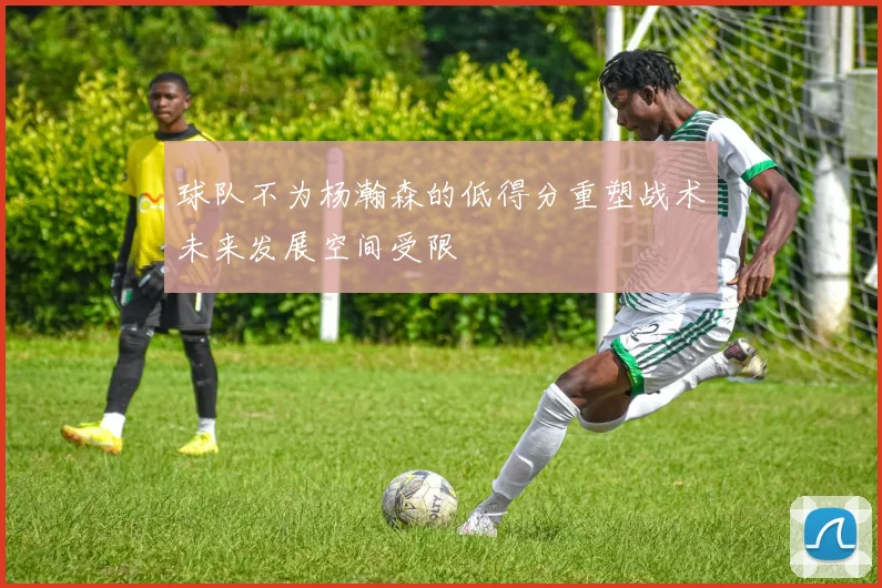 球队不为杨瀚森的低得分重塑战术未来发展空间受限