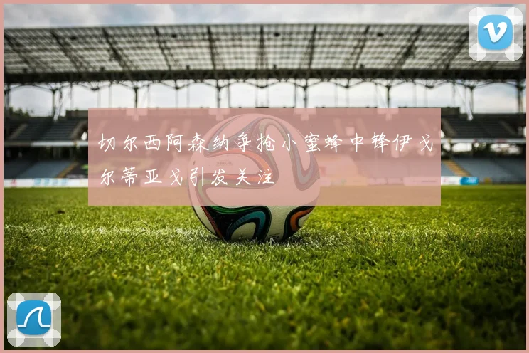 切尔西阿森纳争抢小蜜蜂中锋伊戈尔蒂亚戈引发关注