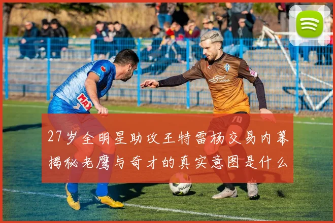 27岁全明星助攻王特雷杨交易内幕揭秘老鹰与奇才的真实意图是什么