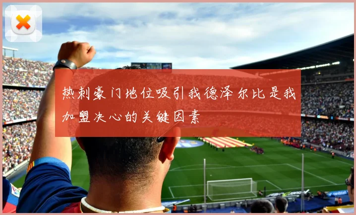 热刺豪门地位吸引我德泽尔比是我加盟决心的关键因素